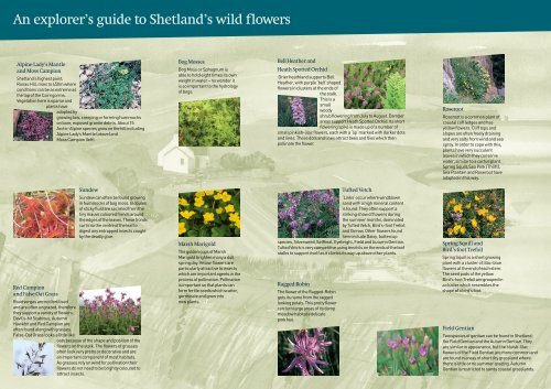 Wild Flowers leaflet - Shetland Heritage