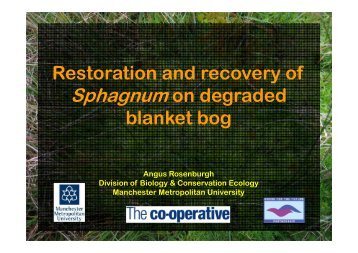 Restoration and recovery of Sphagnum on degraded blanket bog