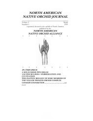 north american native orchid journal - at The Culture Sheet