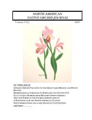 north american native orchid journal - at The Culture Sheet