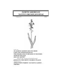 north american native orchid journal - at The Culture Sheet