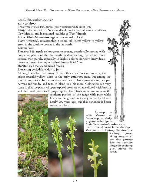 north american native orchid journal - at The Culture Sheet