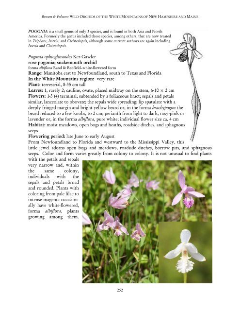 north american native orchid journal - at The Culture Sheet