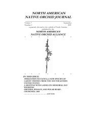 north american native orchid journal - at The Culture Sheet