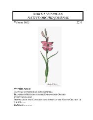 north american native orchid journal - at The Culture Sheet