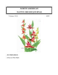 north american native orchid journal - at The Culture Sheet