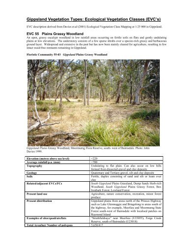 EVC 55 Plains Grassy Woodland.pdf