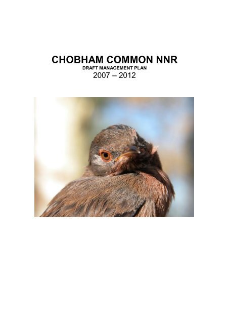 CHOBHAM COMMON NNR - Surrey Wildlife Trust