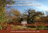 Burnham Beeches Management Plan 2010 - the City of London ...