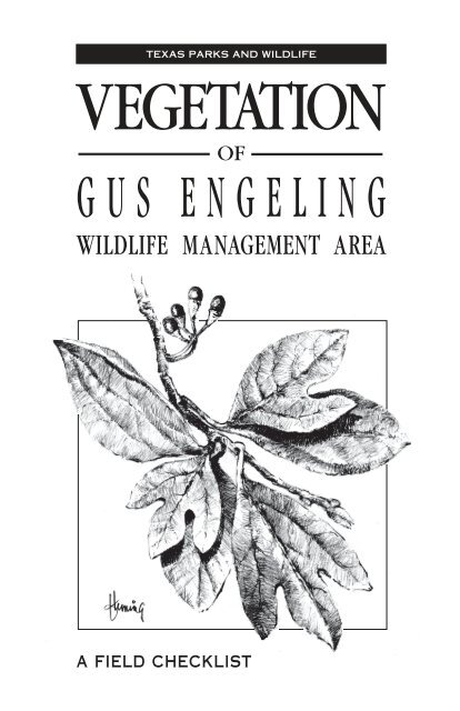 Vegetation of the Gus Engeling Wildlife Management Area