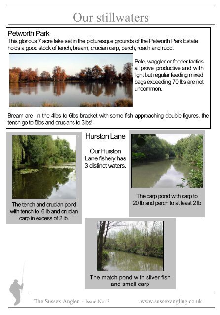 pet bog magazine 3rd issue 10-2-10 - Petworth and Bognor Angling ...