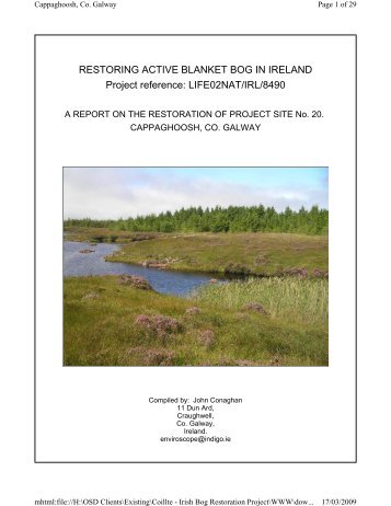 Cappaghoosh, Co. Galway - Blanket Bog Restoration