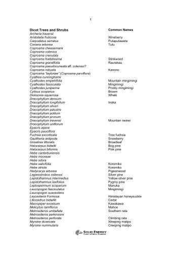 Dicot Trees and Shrubs