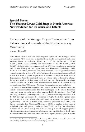 Evidence of the Younger Dryas chronozone from paleoecological