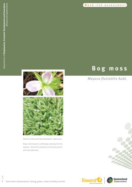 Bog moss (Mayaca fluviatilis Aubl.) - Department of Primary Industries