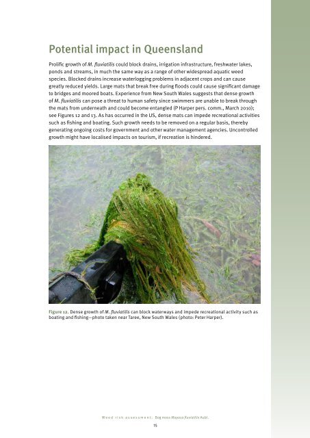 Bog moss (Mayaca fluviatilis Aubl.) - Department of Primary Industries