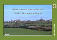 Monard SDZ Draft Environmental Report - Cork County Council