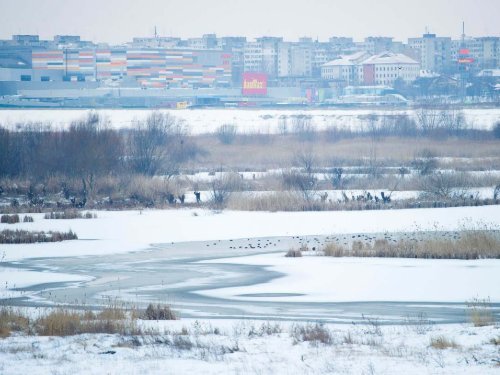 Wetlands on Danube Delta Bioisphere Reserve - Ramsar ...