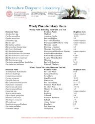 Woody Plants for Shady Places - Cornell Cooperative Extension of ...