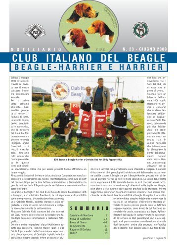 Raduni e Prove - Club Italiano del Beagle