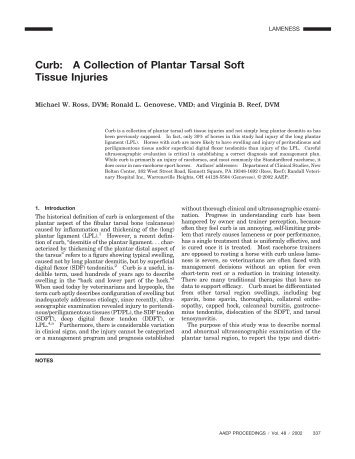 Curb: A Collection of Plantar Tarsal Soft Tissue Injuries