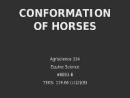 CONFORMATION OF HORSES - UT Extension