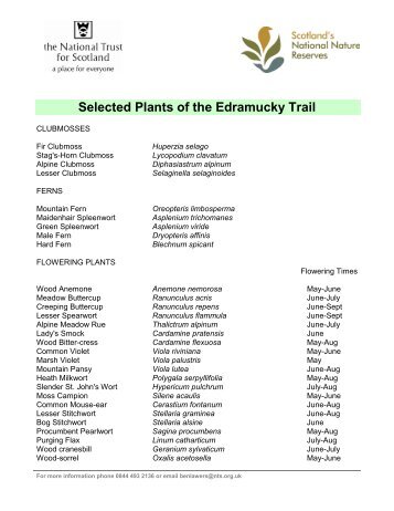 Selected Plants of the Edramucky Trail (PDF)