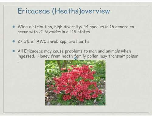 Toxic and Medicinal Potential in Atlantic White Cedar Wetland Forests