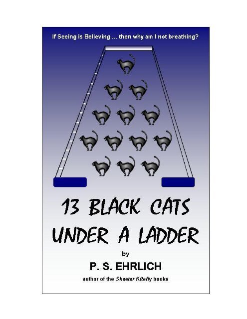 https://img.yumpu.com/11764486/1/500x640/13-black-cats-under-a-ladder-skeeter-kitefly-websites.jpg