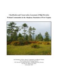 Classification and Conservation Assessment of High Elevation ...