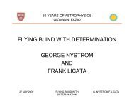 flying blind with determination george nystrom and frank licata