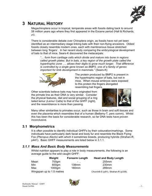 Husbandry Manual for Grey- Headed Flying Fox - Nswfmpa.org