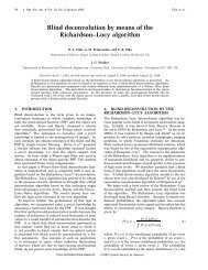 Blind deconvolution by means of the Richardson-Lucy algorithm