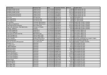 Download PDF - Isle of Wight Council