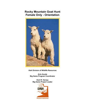 Rocky Mountain Goat Hunt Female Only - Orientation