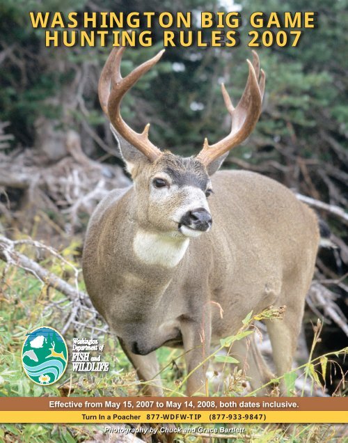 Naturally Shed Mule Deer Antler Single 5 Point Grade C 17 Long Found in  Idaho