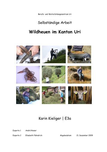 Wildheuen im Kanton Uri