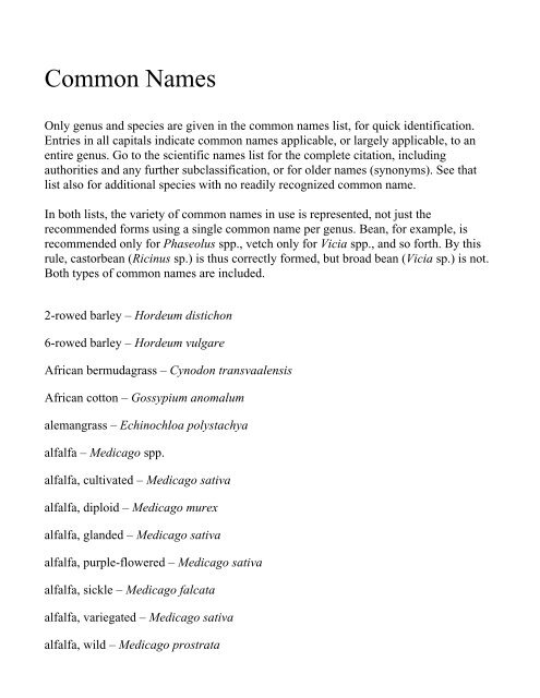 Was Ist Ein Common-Name , CN (Common Name) – IPYGMC