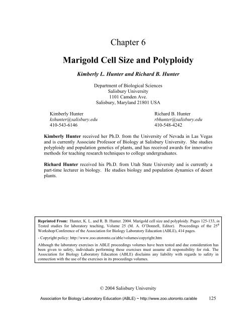 Marigold Cell Size and Polyploidy - Association for Biology ...