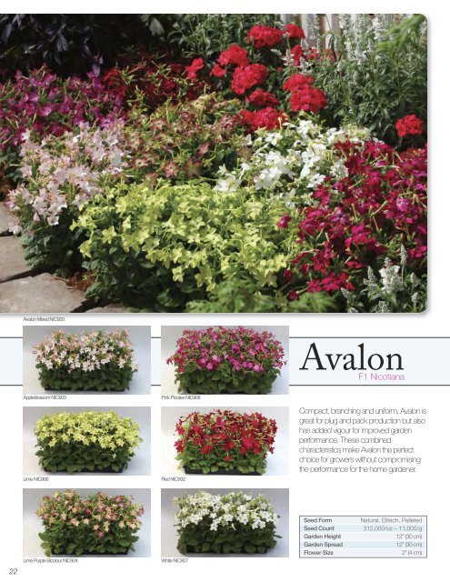 Download the Floranova 2011 Catalogue