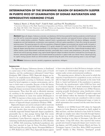 determination of the spawning season of bigmouth sleeper