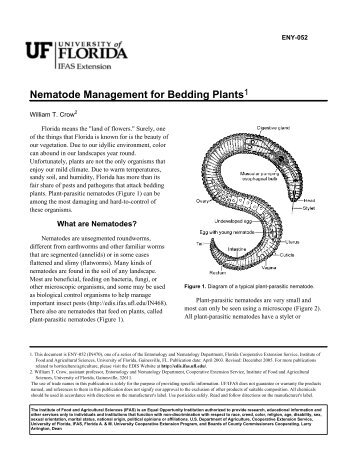 Nematode Management for Bedding Plants - University of Florida ...