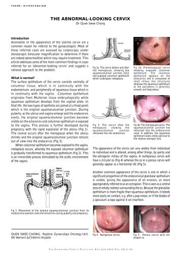 The Abnormal - Looking Cervix