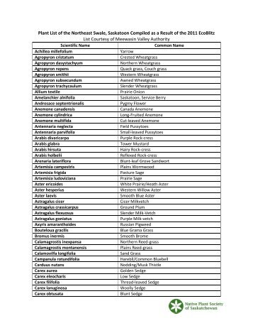 Plant List of the Northeast Swale, Saskatoon Compiled as a Result ...