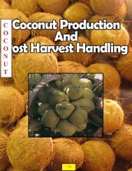 Coconuts - Guyana Marketing Corporation