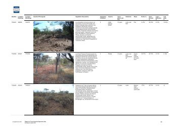 Appendix 2 Turee Syncline Infrastructure Area ... - Rio Tinto Iron Ore