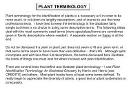 PLANT TERMINOLOGY - Flora by Max