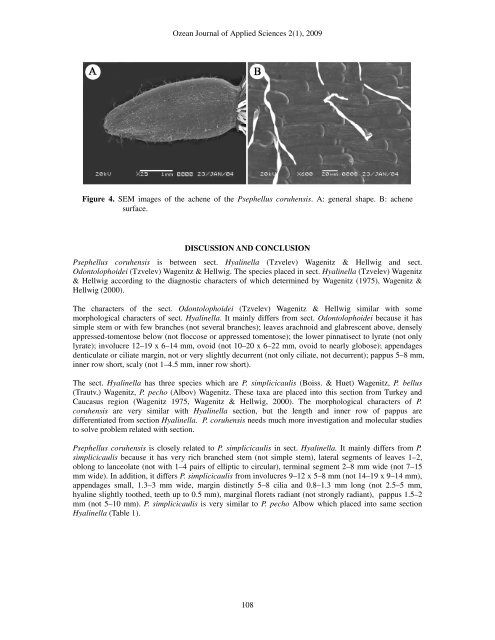 A New Species of the Genus Psephellus - Ozean Publications