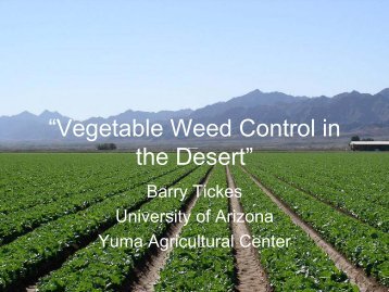 “Vegetable Weed Control in the Desert” - University of Arizona