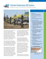 nonn！ Wellbore Intervention
